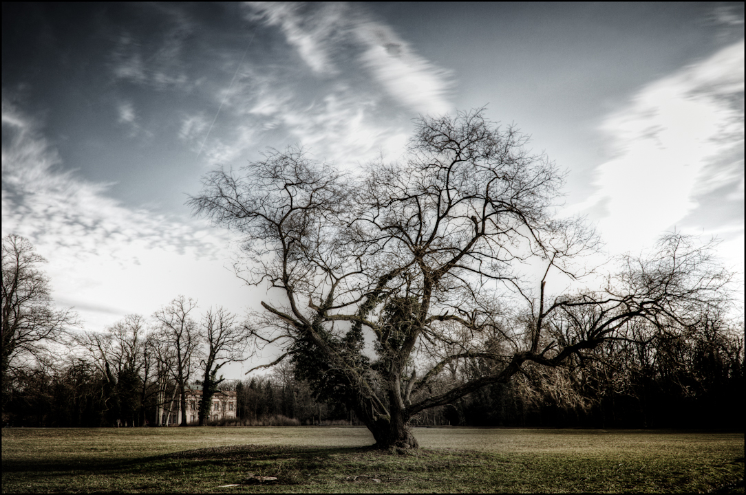 a walk in the park II