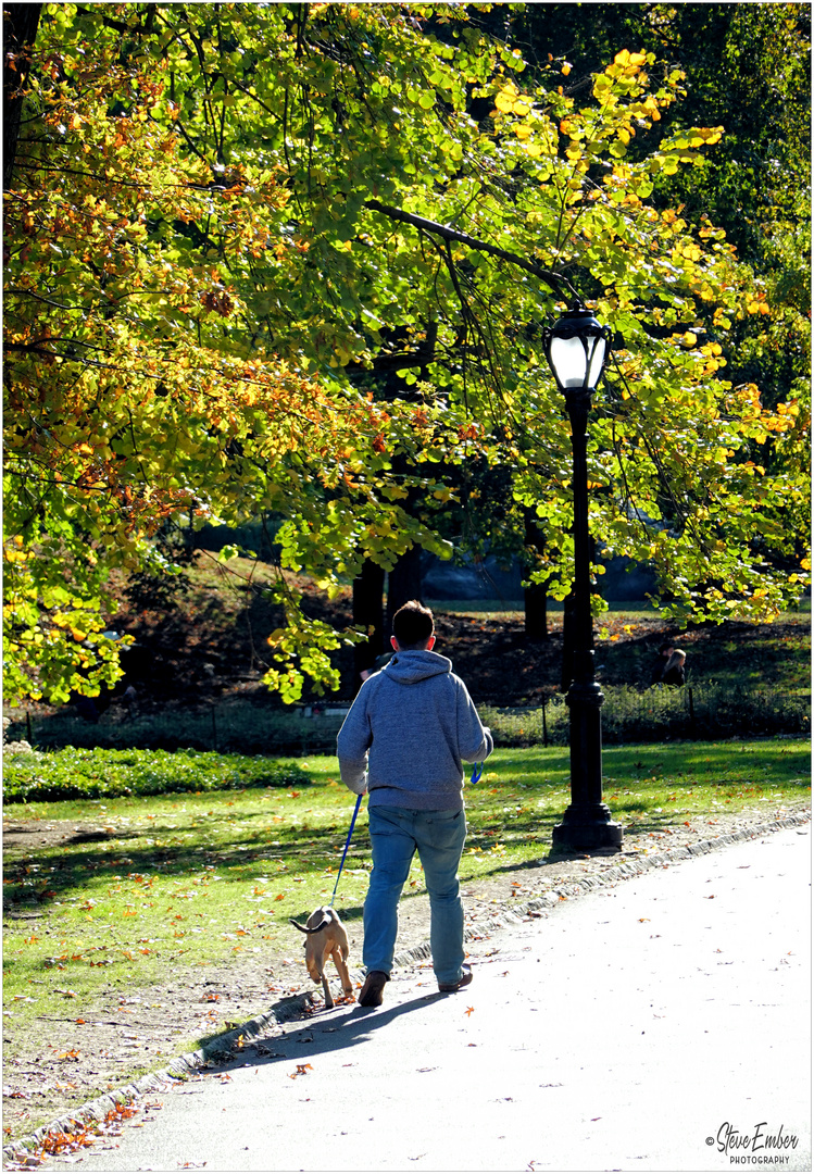 A Walk in the Park with a Best Friend - A Central Park Moment