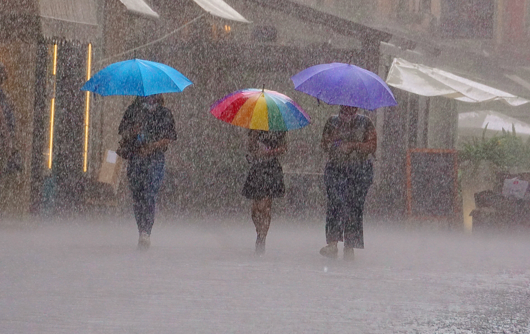 A walk in the rain