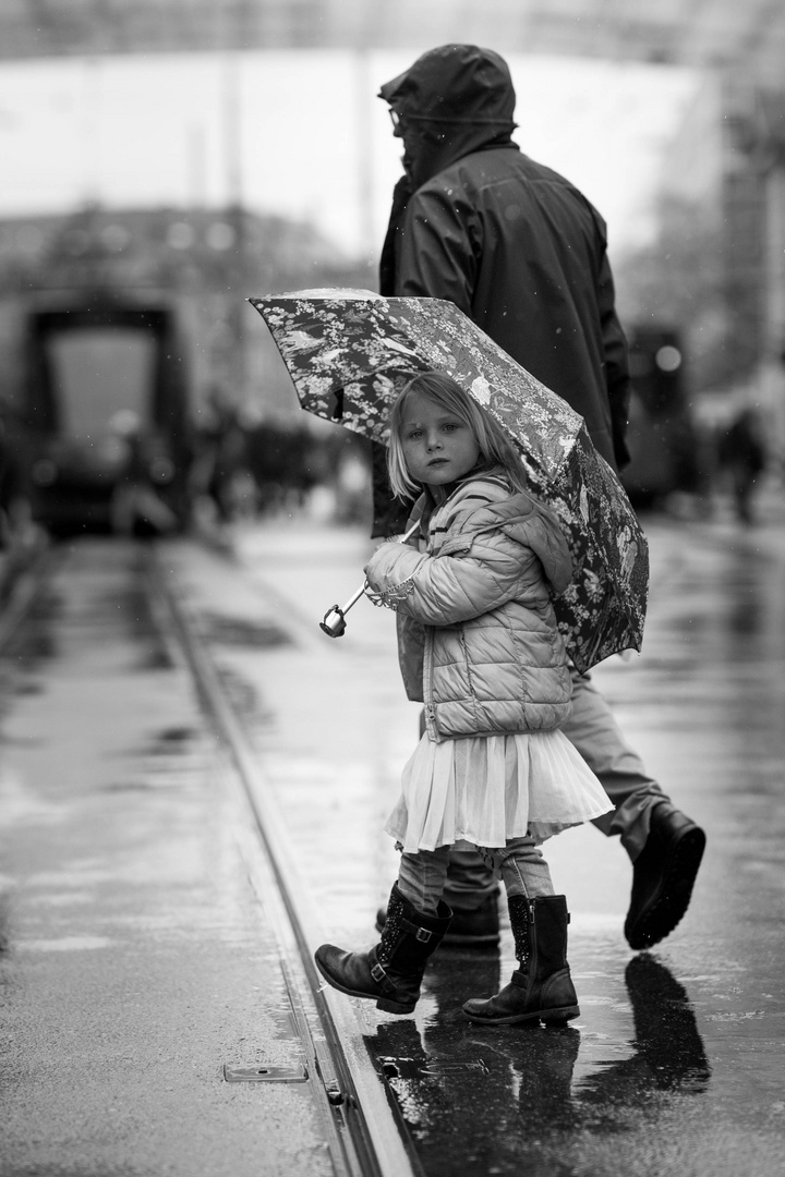 A walk in the rain