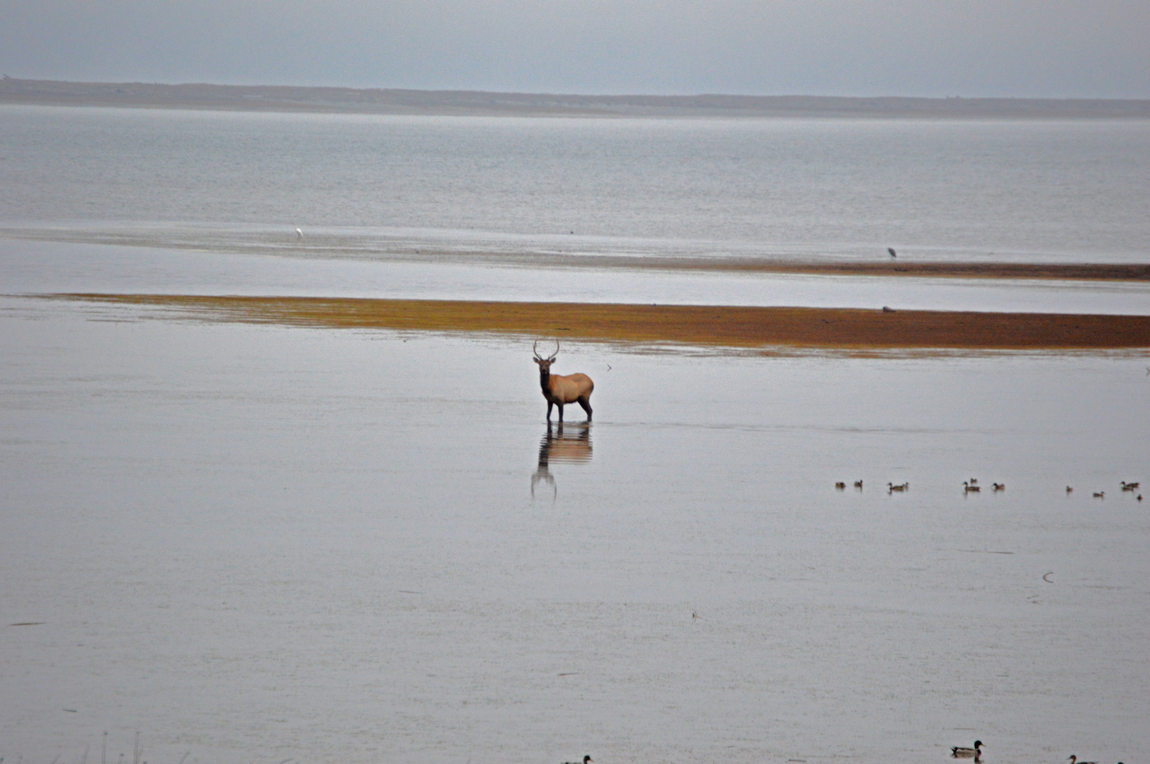 A walk in the water