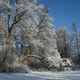 A Walk in the (Winter) Park