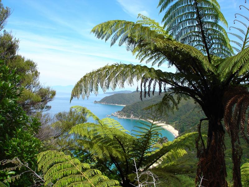 A walk on the Abel Tasman Track