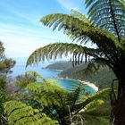 A walk on the Abel Tasman Track