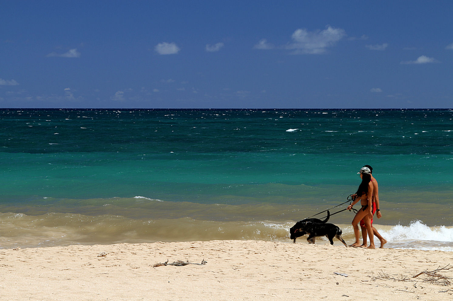 a walk on the beach