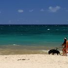 a walk on the beach