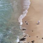 A walk on the beach