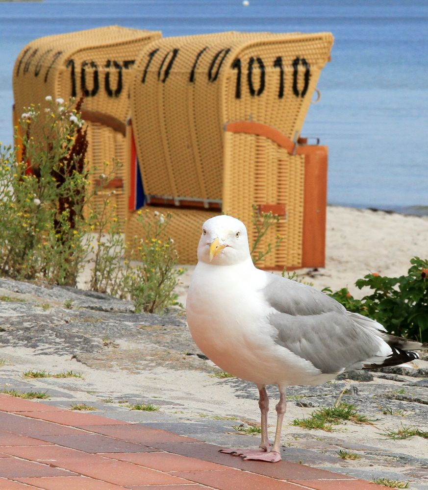 A walk on the beach