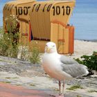 A walk on the beach