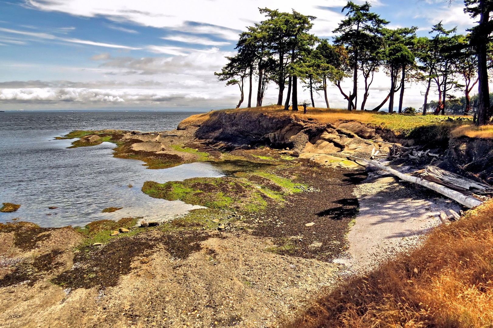 A Walk on the Island Shores