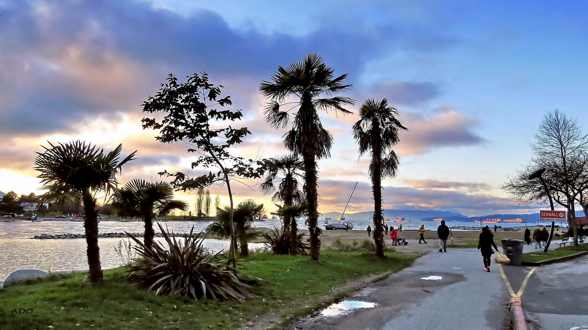 A Walk on the Seawall