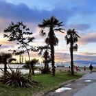 A Walk on the Seawall