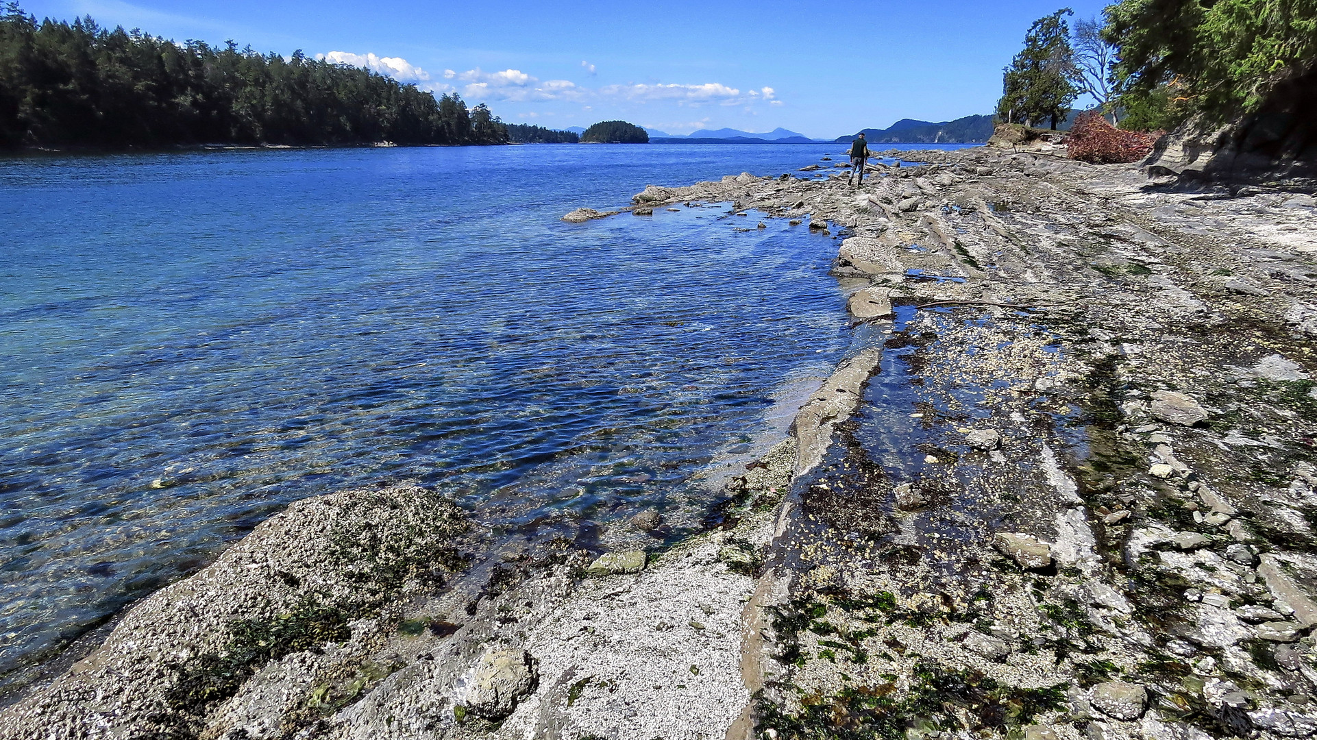 A Walk on the Shore