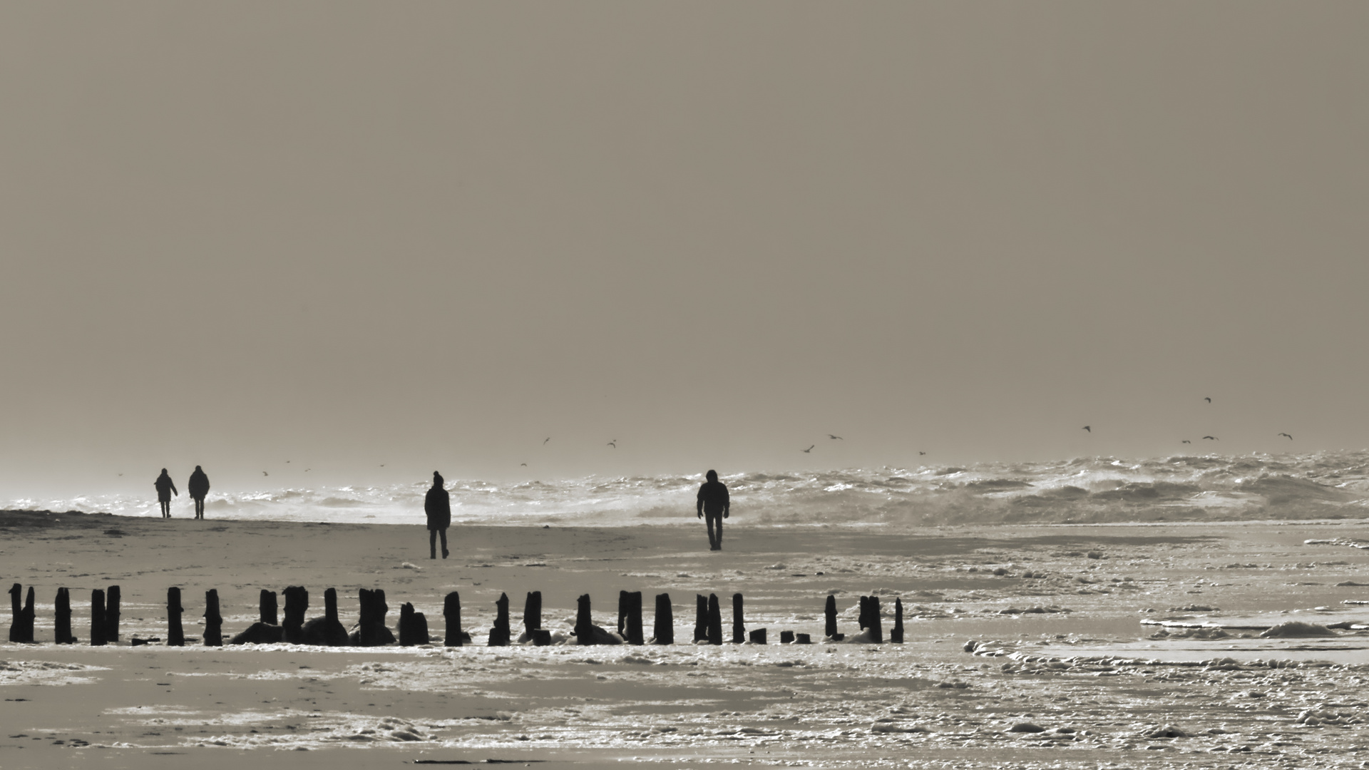 a walk on the windy side