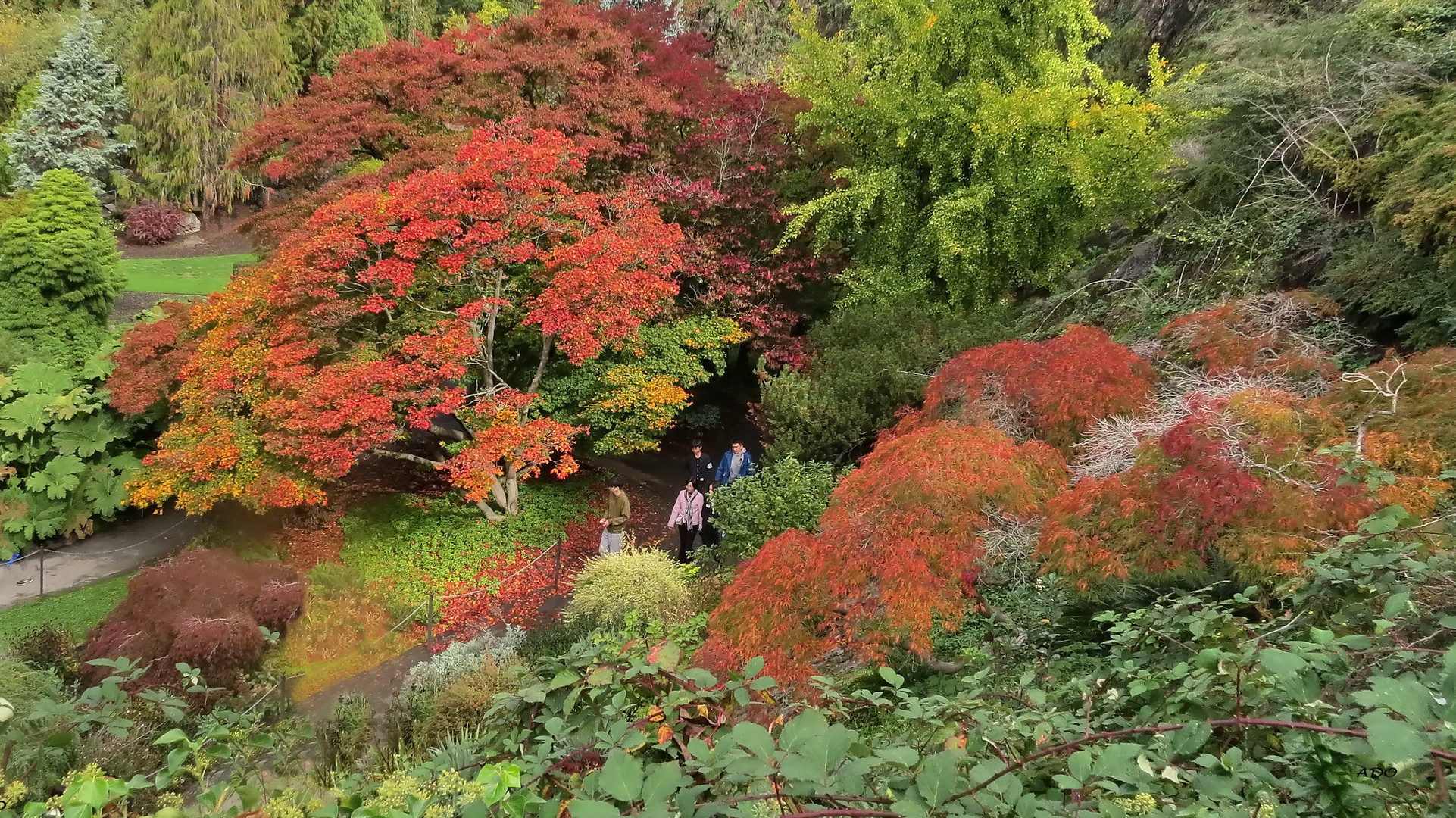 A Walk Through Autumn