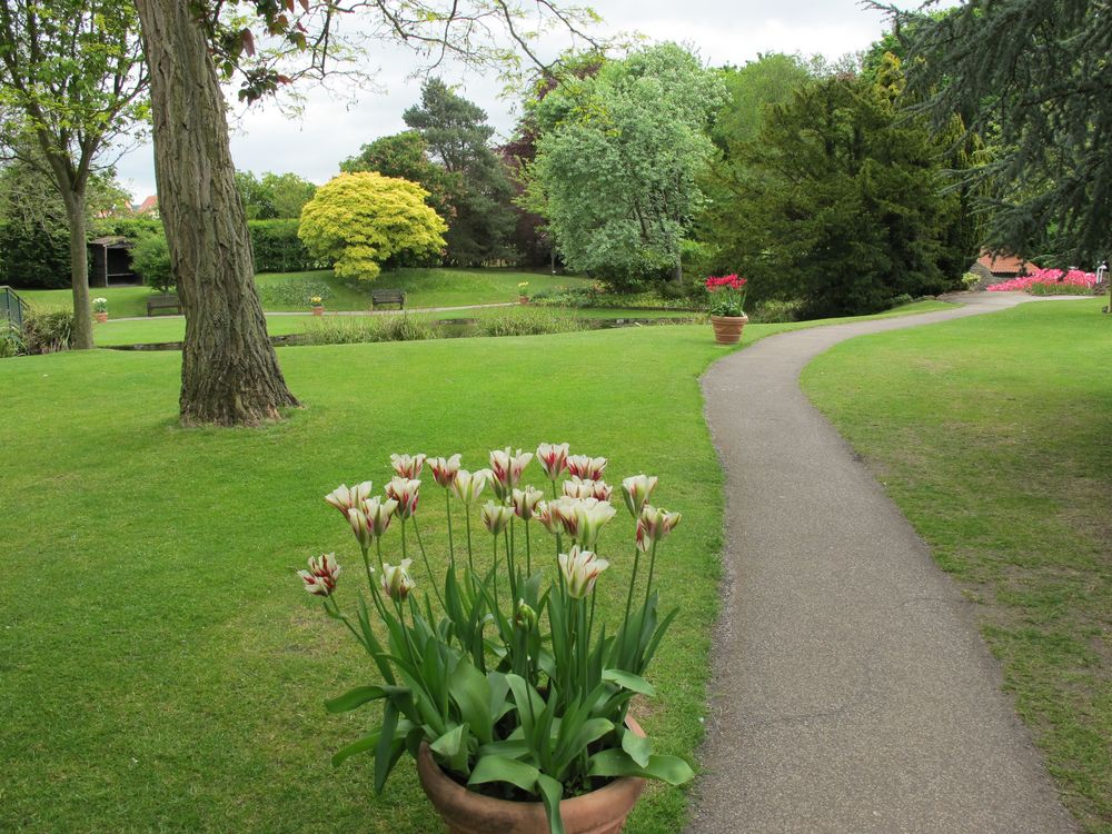 A walk through the gardens