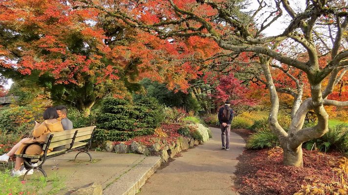A Walk through the Park