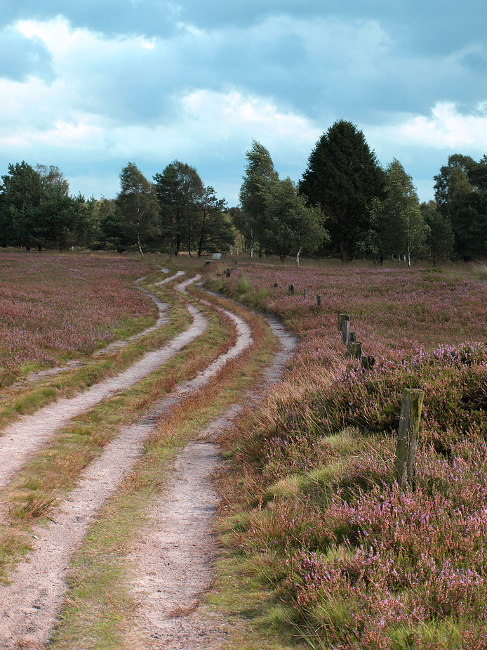 A walk to remember...