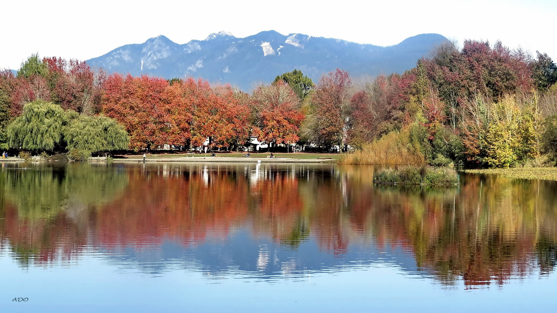 A Walk to Trout Lake