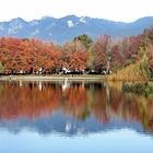 A Walk to Trout Lake