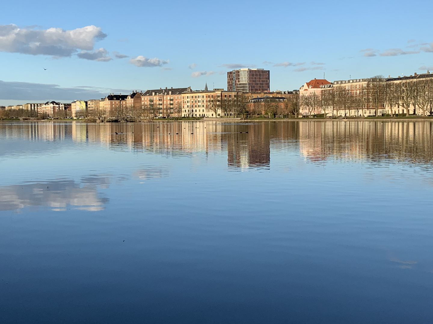 A walk to work in Copenhagen