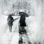 A WALK UNDER  THE SNOW