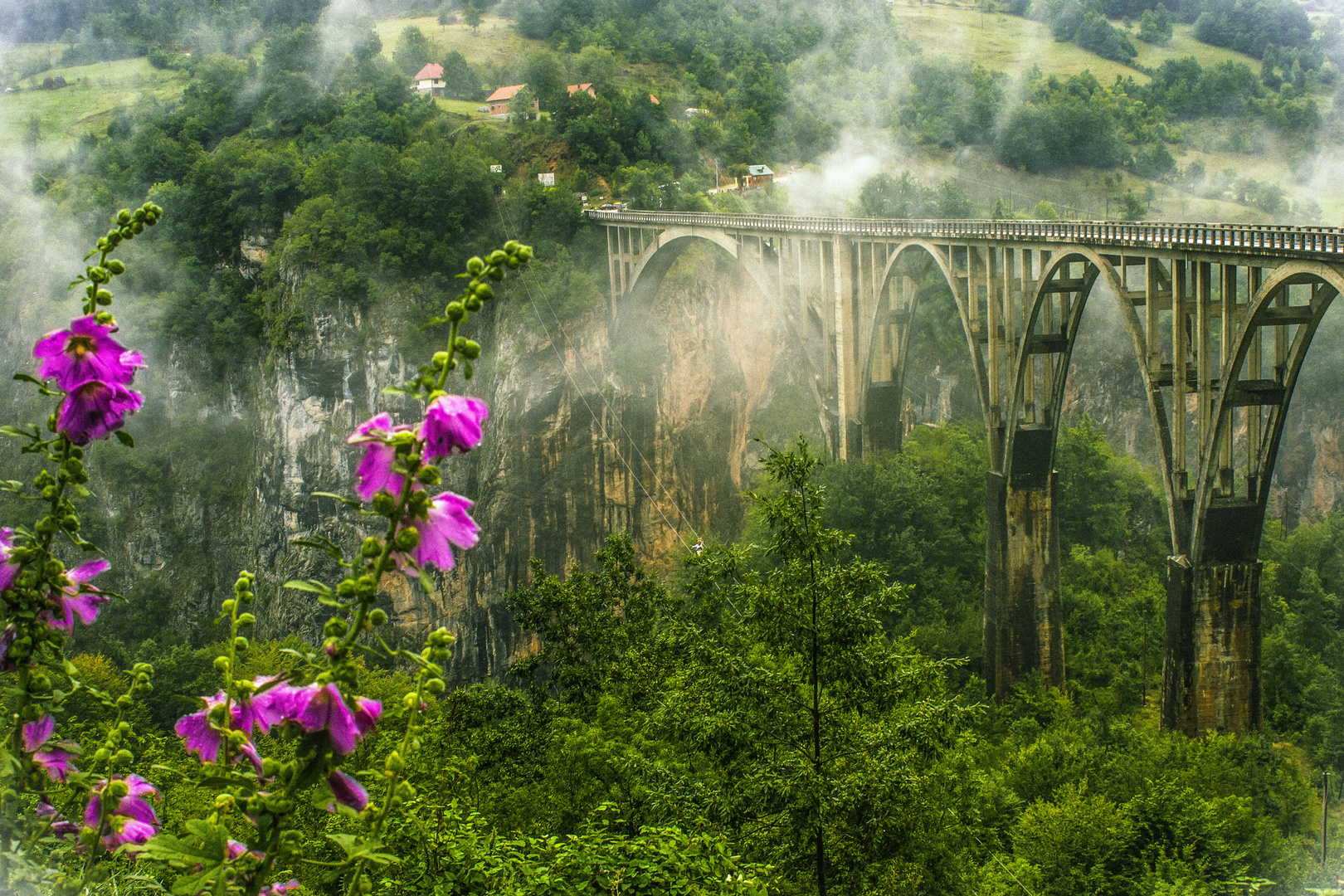 A walk with the clouds