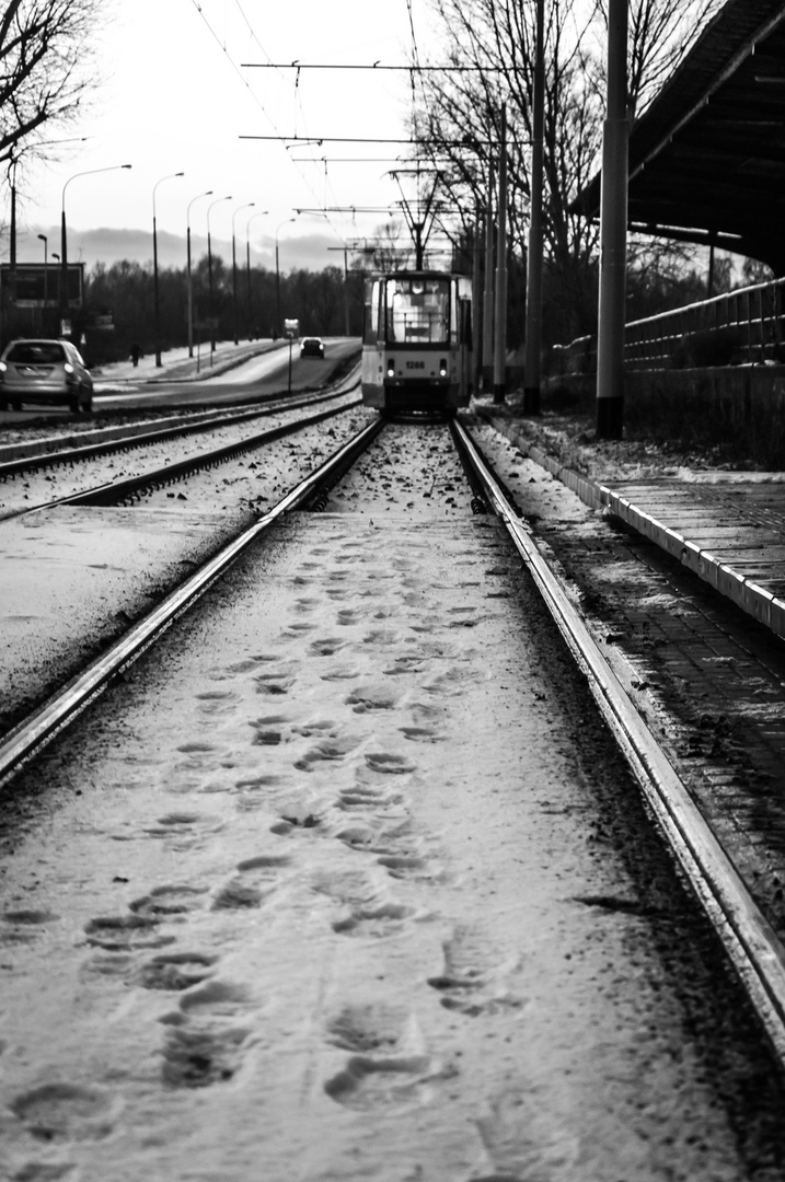 a walking streetcar