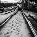 a walking streetcar