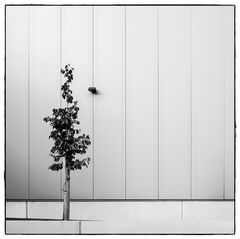 a wall