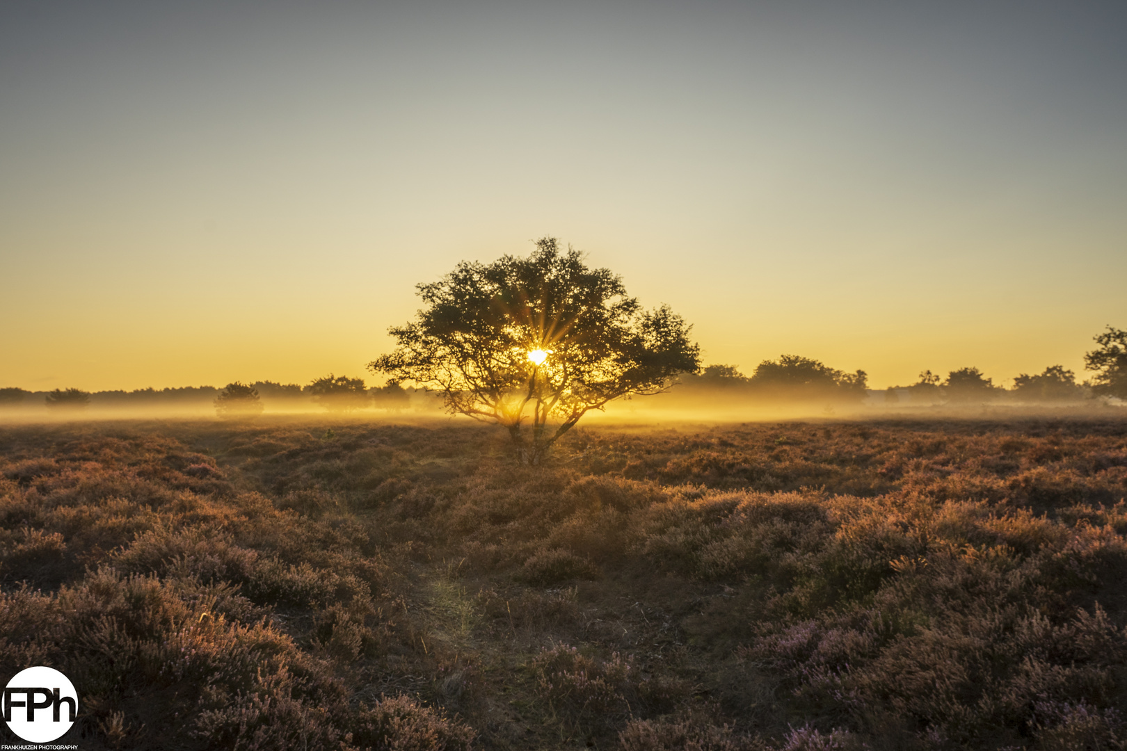 A Warm Welcome on Foggy Moorland