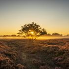 A Warm Welcome on Foggy Moorland