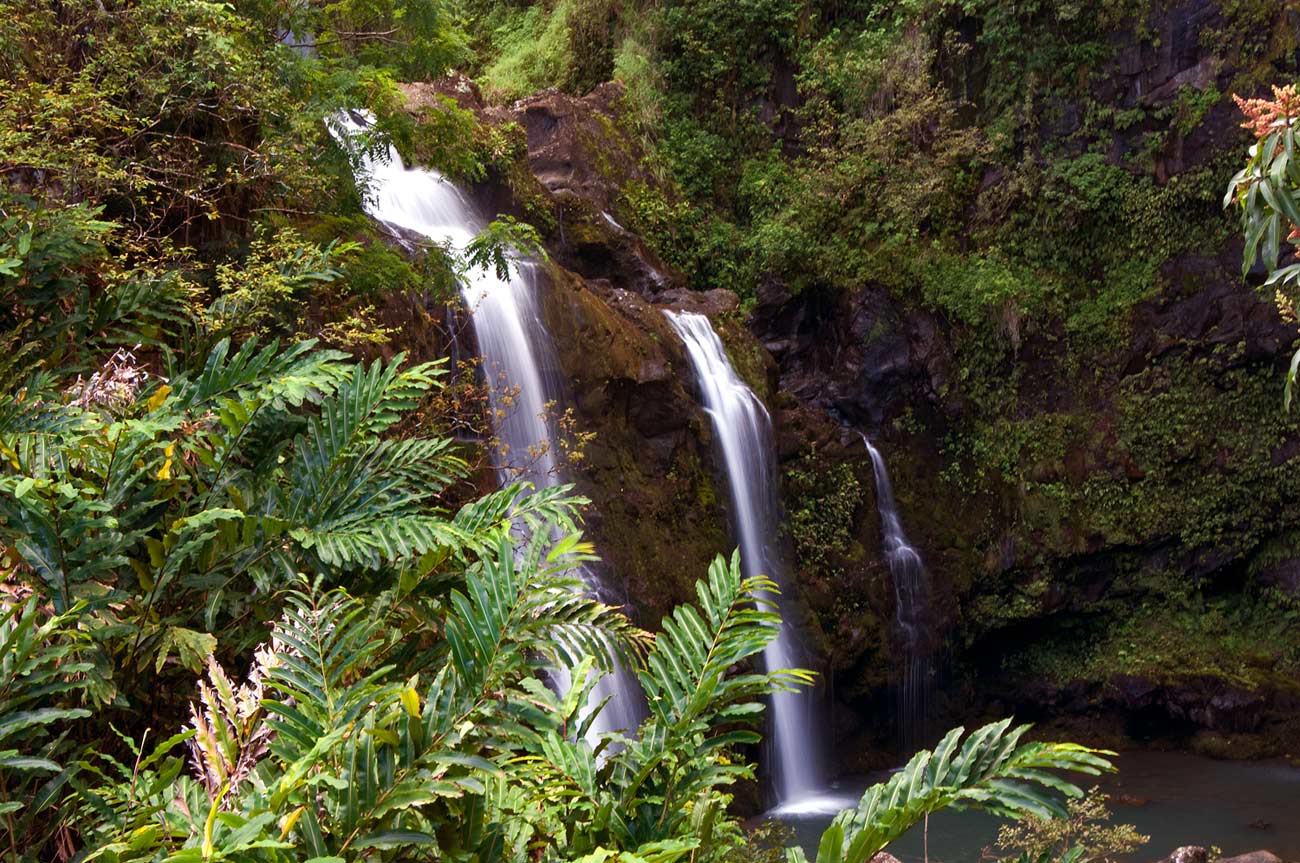 A Water Fall On the road to Hana in Maui