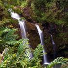 A Water Fall On the road to Hana in Maui