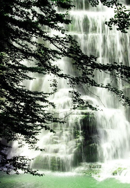 A waterfall in the woods