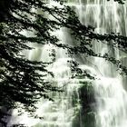 A waterfall in the woods