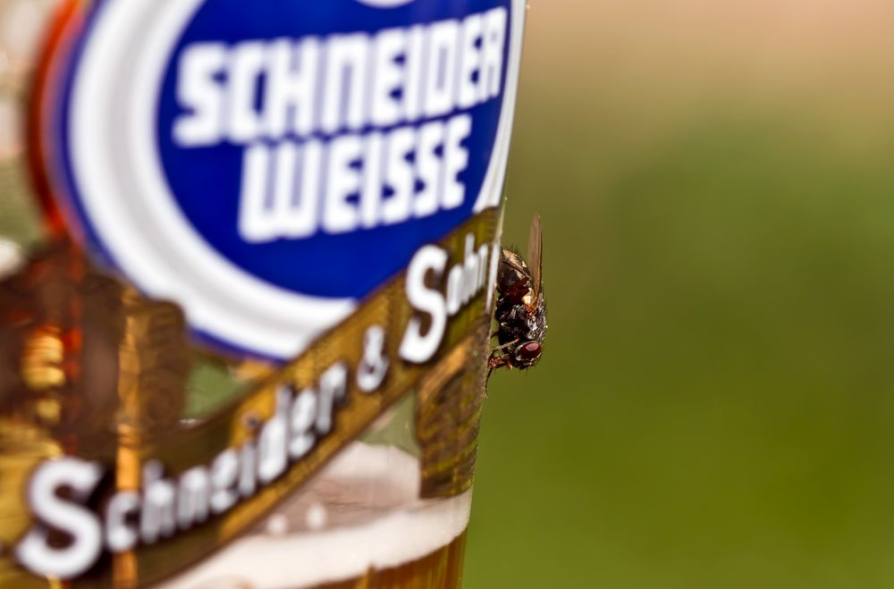 A Weissbier geht immer ;-)