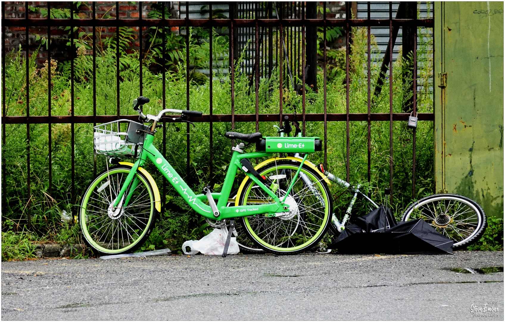 A Welcome Splash of Lime on a Wet and Windy Day 