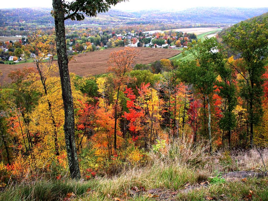 A welcome view