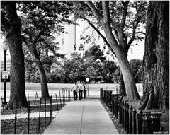 A West Potomac Park View to the Lincoln Memorial - A Washington Early Autumn Moment