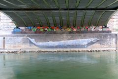 a whale under a bridge