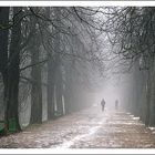 A white dog is walking a man.