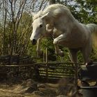 A White Horse