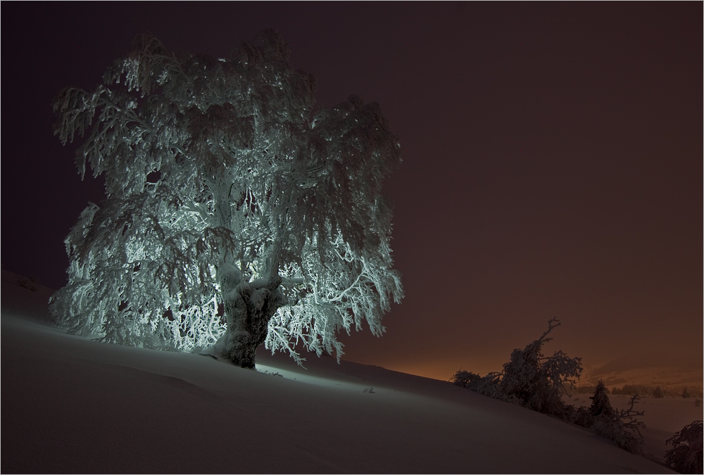 A whiter shade of pale