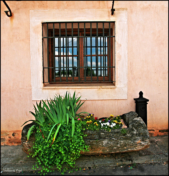 A window and a window box