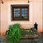 A window and a window box