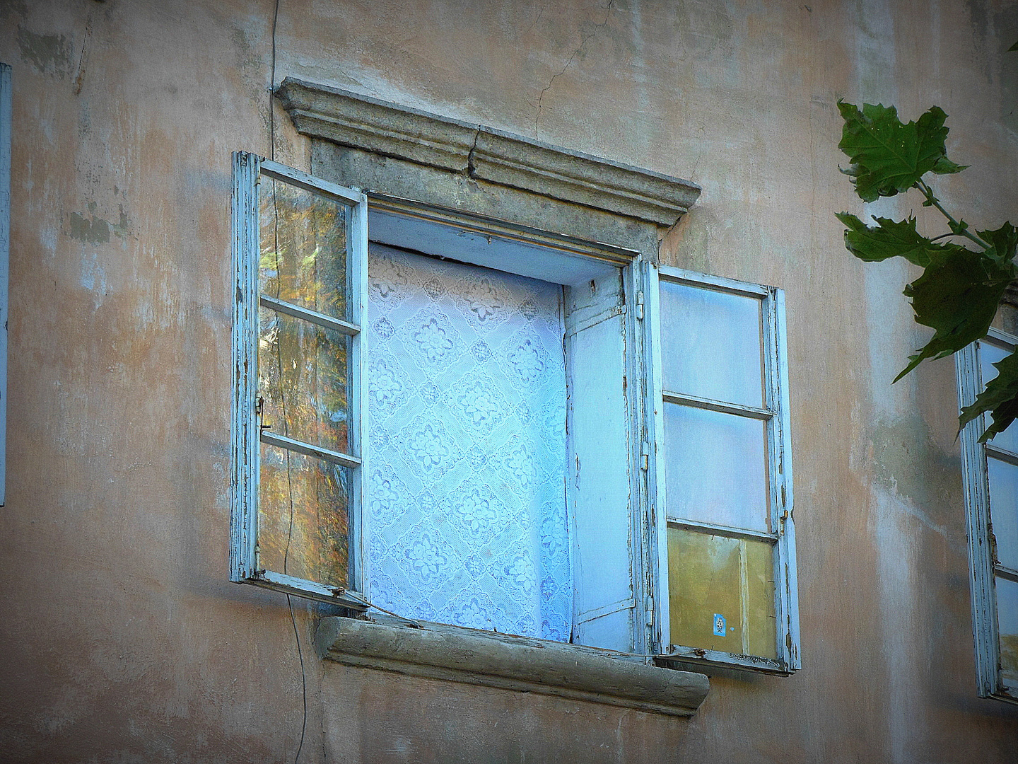 A window to the past