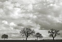 a windy day