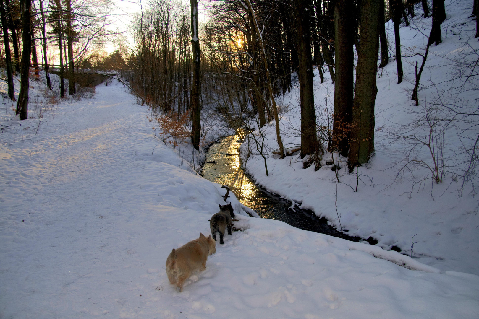 a winter day in Denmark