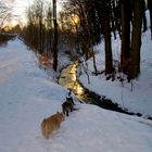 a winter day in Denmark